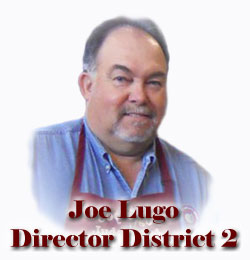 Director District Two - Joe Lugo