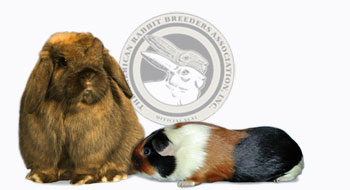 American Rabbit Breeders Association, Inc.