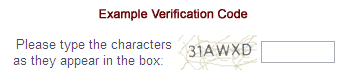 Verification Code Example